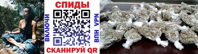 Купить где  Старица  Бутират буратино 