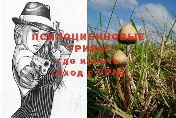 стаф Зеленодольск