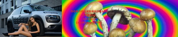 соль ск Зеленокумск
