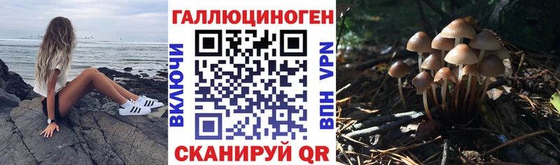 Галлюциногенные грибы мицелий  Купить  Старица 